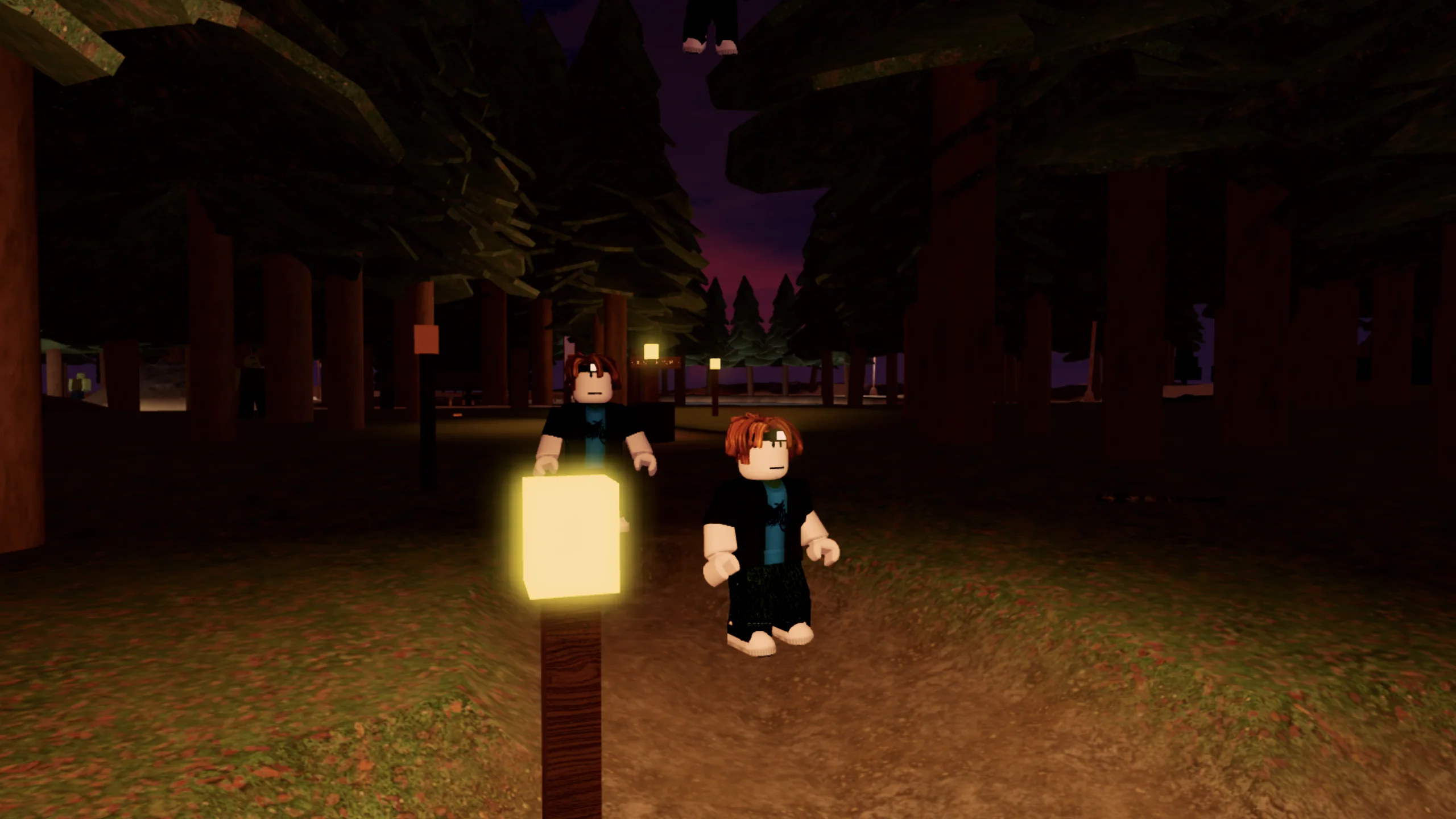 Survivors with headlamps on a forest trail at dusk in Stillskin Forest